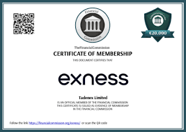 Comprehensive Guide PayPal to Exness - Seamless Transactions Comprehensive Guide PayPal to Exness - Seamless Transactions