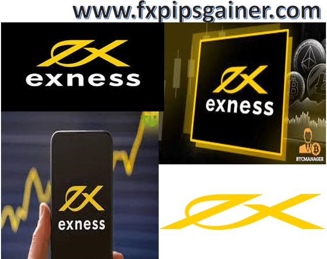 Discover the World of Trading with Exness Global